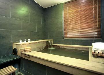 Pacific Hot Spring Hotel-green Bay Taipei